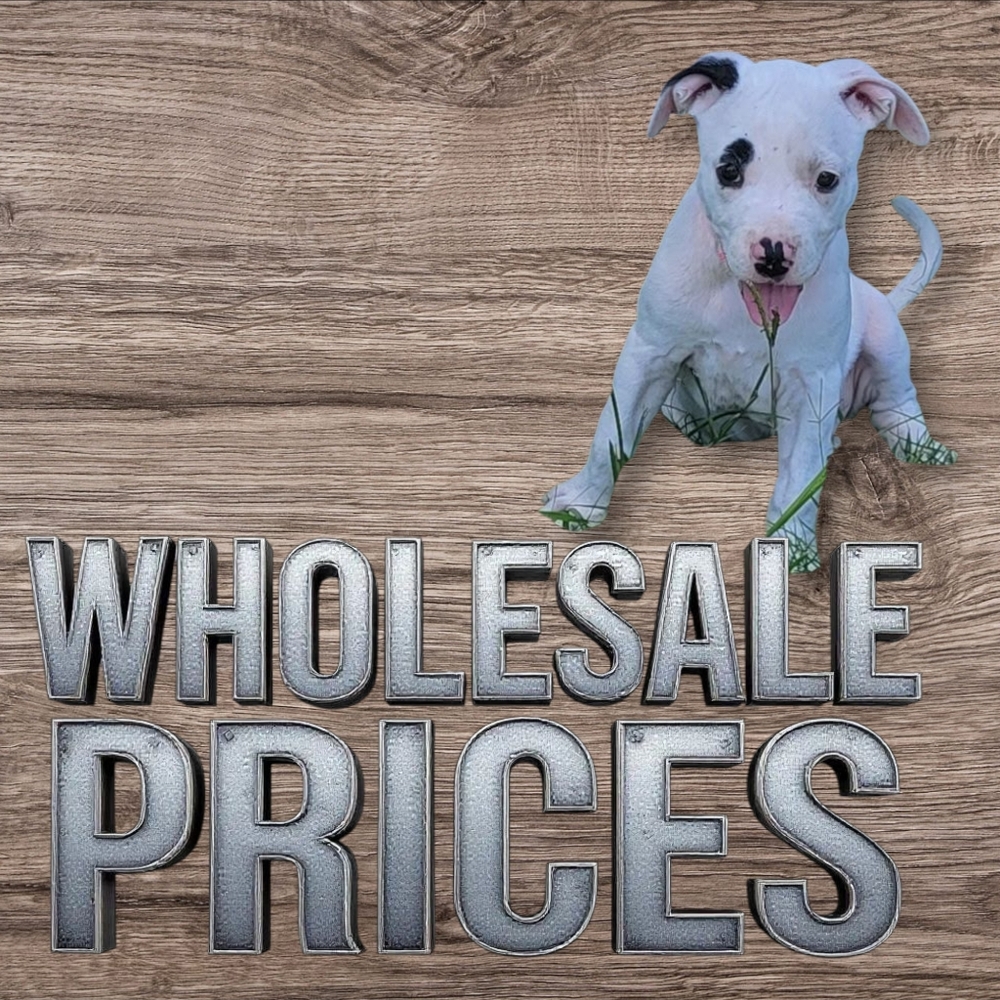 wholesale price